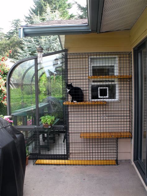 metal outdoor cat enclosures uk|outdoor cat enclosures with shelves.